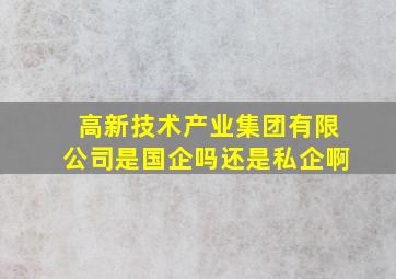 高新技术产业集团有限公司是国企吗还是私企啊