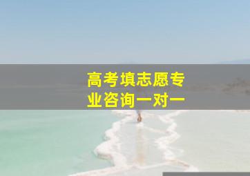 高考填志愿专业咨询一对一