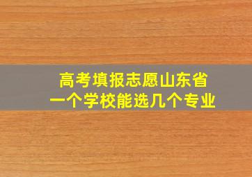 高考填报志愿山东省一个学校能选几个专业