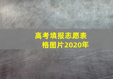 高考填报志愿表格图片2020年