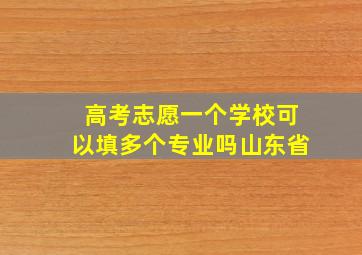 高考志愿一个学校可以填多个专业吗山东省