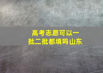 高考志愿可以一批二批都填吗山东