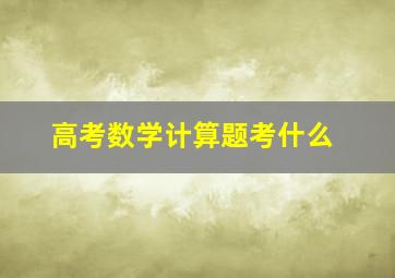 高考数学计算题考什么