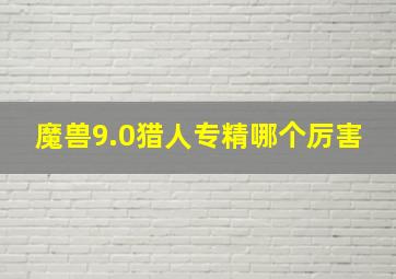 魔兽9.0猎人专精哪个厉害