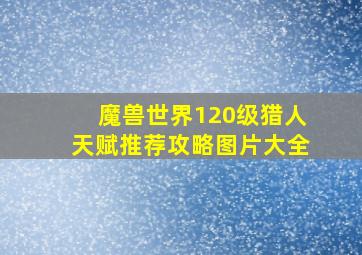 魔兽世界120级猎人天赋推荐攻略图片大全