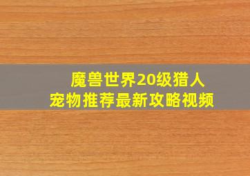 魔兽世界20级猎人宠物推荐最新攻略视频