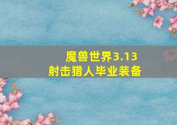 魔兽世界3.13射击猎人毕业装备