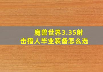 魔兽世界3.35射击猎人毕业装备怎么选