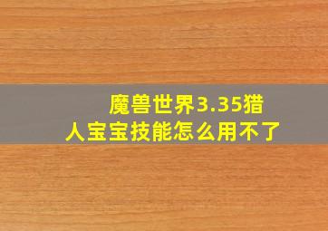 魔兽世界3.35猎人宝宝技能怎么用不了