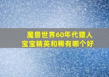 魔兽世界60年代猎人宝宝精英和稀有哪个好