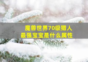 魔兽世界70级猎人最强宝宝是什么属性