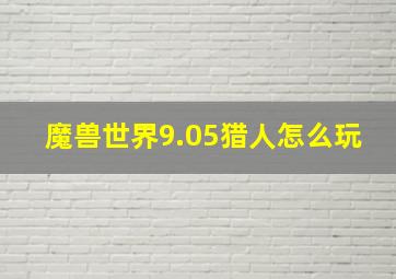 魔兽世界9.05猎人怎么玩