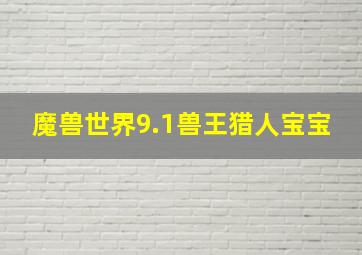 魔兽世界9.1兽王猎人宝宝