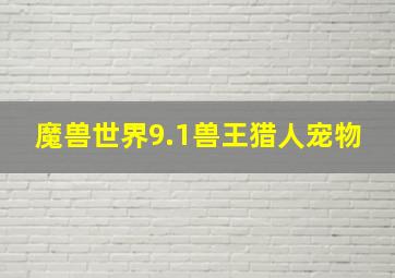 魔兽世界9.1兽王猎人宠物