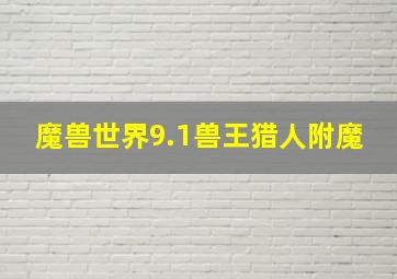 魔兽世界9.1兽王猎人附魔