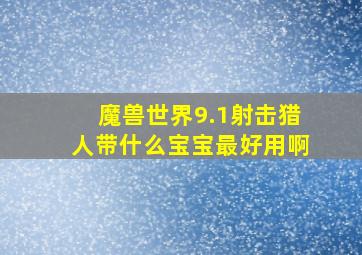 魔兽世界9.1射击猎人带什么宝宝最好用啊