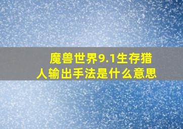 魔兽世界9.1生存猎人输出手法是什么意思