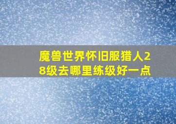 魔兽世界怀旧服猎人28级去哪里练级好一点