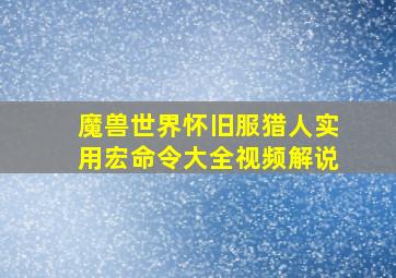 魔兽世界怀旧服猎人实用宏命令大全视频解说