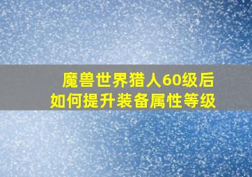 魔兽世界猎人60级后如何提升装备属性等级