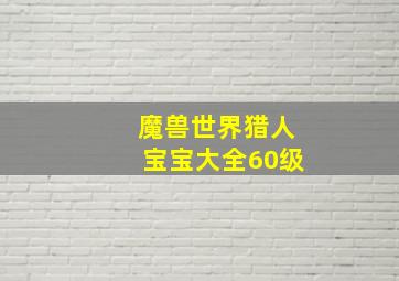 魔兽世界猎人宝宝大全60级