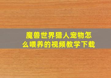 魔兽世界猎人宠物怎么喂养的视频教学下载