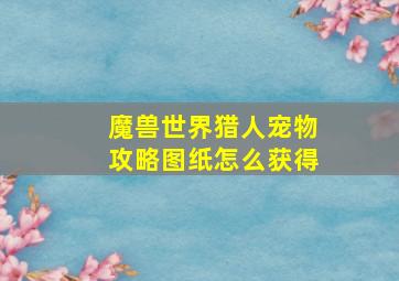 魔兽世界猎人宠物攻略图纸怎么获得