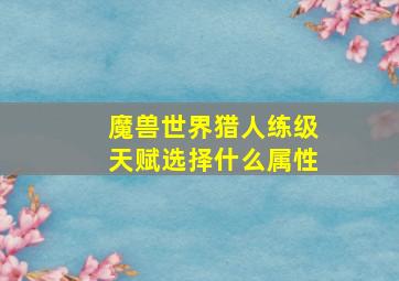 魔兽世界猎人练级天赋选择什么属性