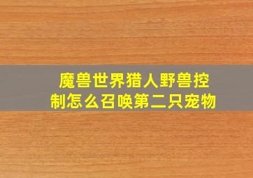 魔兽世界猎人野兽控制怎么召唤第二只宠物