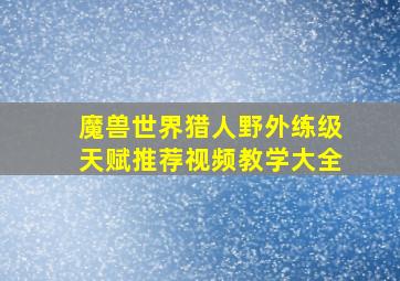 魔兽世界猎人野外练级天赋推荐视频教学大全