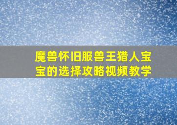 魔兽怀旧服兽王猎人宝宝的选择攻略视频教学