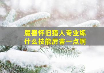 魔兽怀旧猎人专业练什么技能厉害一点啊