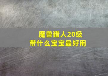 魔兽猎人20级带什么宝宝最好用