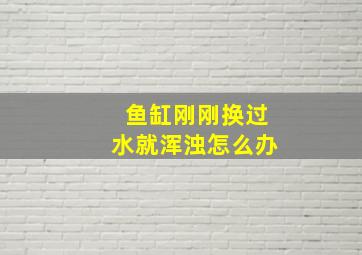 鱼缸刚刚换过水就浑浊怎么办