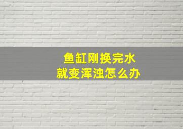 鱼缸刚换完水就变浑浊怎么办