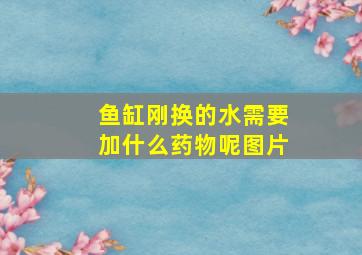 鱼缸刚换的水需要加什么药物呢图片