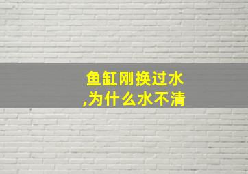 鱼缸刚换过水,为什么水不清