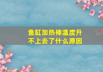 鱼缸加热棒温度升不上去了什么原因