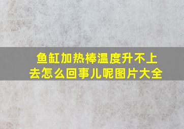 鱼缸加热棒温度升不上去怎么回事儿呢图片大全