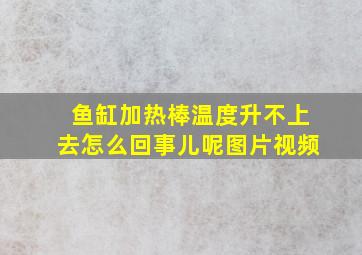 鱼缸加热棒温度升不上去怎么回事儿呢图片视频