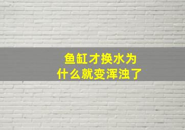 鱼缸才换水为什么就变浑浊了