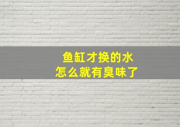 鱼缸才换的水怎么就有臭味了