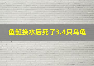 鱼缸换水后死了3.4只乌龟