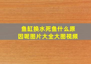 鱼缸换水死鱼什么原因呢图片大全大图视频