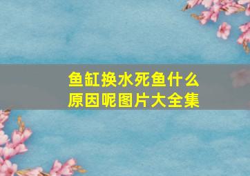 鱼缸换水死鱼什么原因呢图片大全集