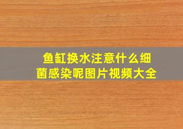 鱼缸换水注意什么细菌感染呢图片视频大全