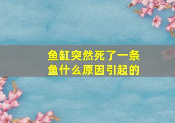 鱼缸突然死了一条鱼什么原因引起的