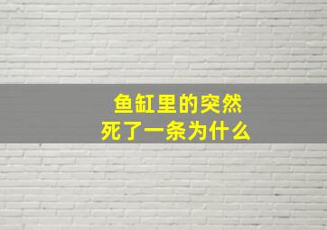 鱼缸里的突然死了一条为什么