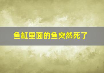 鱼缸里面的鱼突然死了