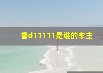 鲁d11111是谁的车主